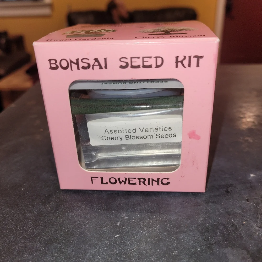 Miniature Cherry Blossom Bonsai Tree -Seed KIT  Disney Epcot